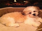 Helen J.'s profile image