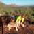Bobby L. Huss's profile image