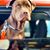 Alison Newman's profile image