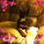 Debra Wilson's profile image