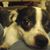 Travis Love's profile image