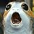 Timothy Arsenault's profile image
