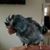 Jennifer Blazek Walkup's profile image