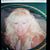 Debra Clark's profile image
