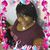 Sakinah S. LaPierre's profile image