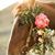 Vivian Brooke Amidon's profile image
