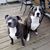 Dawn Tyree's profile image
