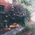 Eileen Rvs's profile image