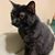 Jacy Bennett Whalen's profile image