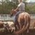Stevie Lee Dross's profile image