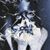 Janice Jo Davis's profile image