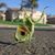 Carl E Roberts's profile image