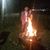 Velicia Perez Rodriguez's profile image