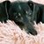 Janet Jordan Parker's profile image
