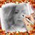 Suzanne Diana's profile image