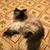 Lori Gooch's profile image