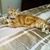 Teri King's profile image