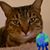 Bill Pollman's profile image