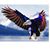 Greg Sauceman's profile image