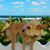 Olive Anne Byrne's profile image