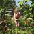 Samantha Churchill's profile image