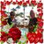 Roseanne Schaefer's profile image