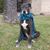 Julie Seay's profile image