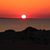 Susan Pfaff's profile image