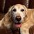 Karen Haney Jacobs's profile image
