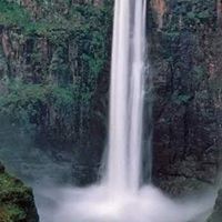 Lorena Sanchez's profile image