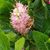 Lynda Kimberlin's profile image