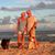 Marilyn Novak Gann's profile image