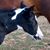 Michelle Conner's profile image