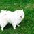 Lorna Rose Fulkerson's profile image