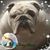 Teresa Black's profile image