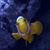 Terry McDaniel's profile image