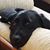 Marsha Schroepfer's profile image