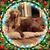 Lori Greer's profile image