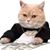 Mini Bobcat's profile image