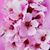 Emily Hepner Nelson's profile image