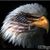Wallace C Olds Jr's profile image