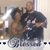 Anton Scott Sr's profile image
