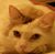 Elizabeth Kutz's profile image