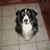 Alison Hess Clayton's profile image
