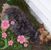 Tanya Lomashewich Davis's profile image