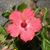 Lynn Dibbell Lawler's profile image