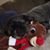 Richard T Hogan III's profile image