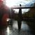 Maria Antonia Topete's profile image