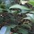 Louise Beaty's profile image