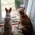 Cathy Foster's profile image